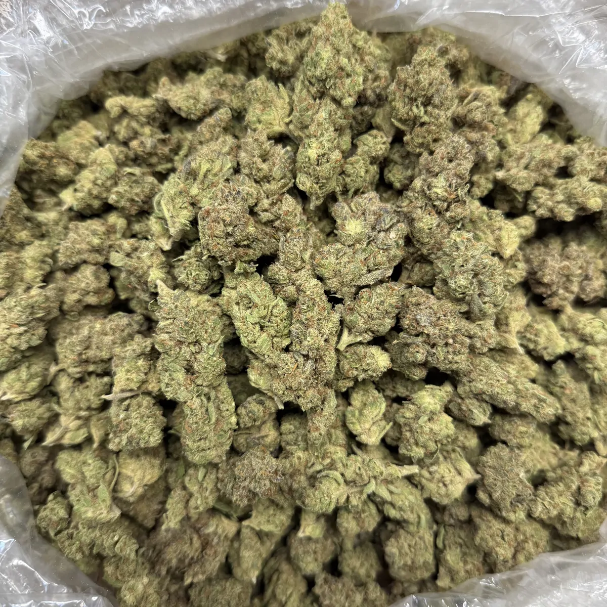 Gmo Flower